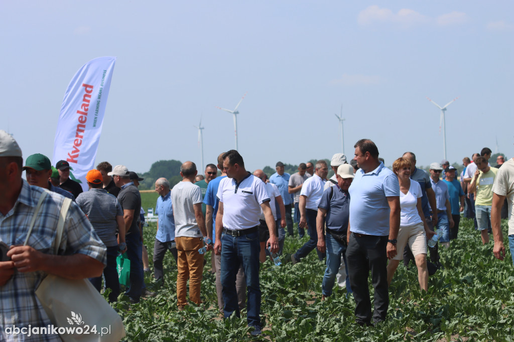 Dni Pola w Kołudzie Wielkiej