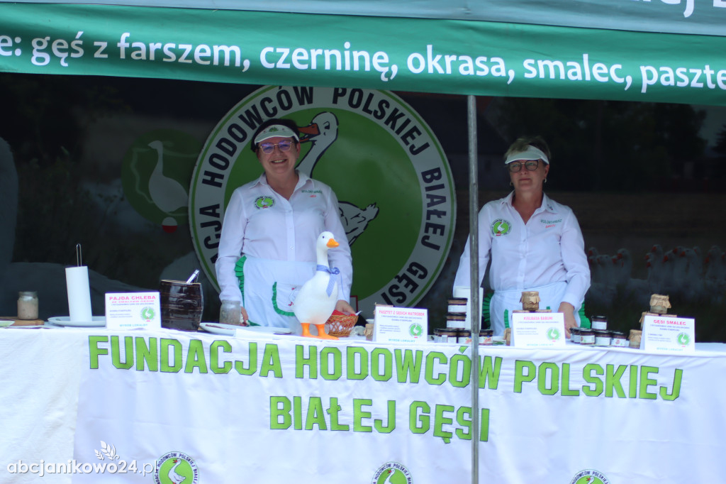 Dni Pola w Kołudzie Wielkiej