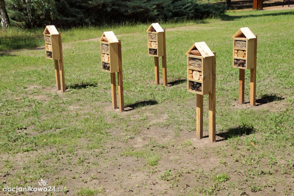 Tak wygląda park miejski. Burmistrz: Mieszkańcy potrzebują miejsc zielonych