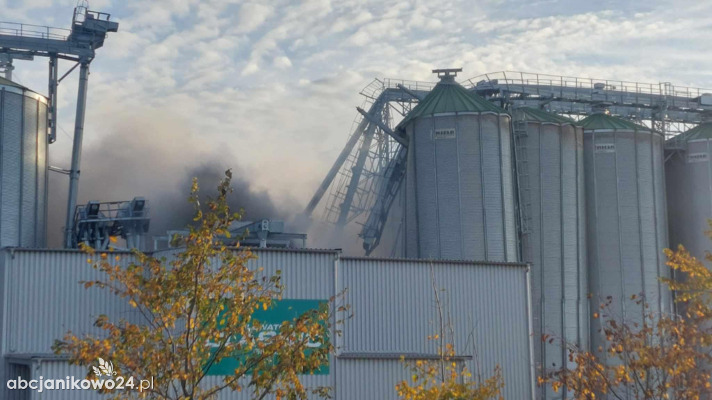 Pożar na terenie jednej z janikowskich firm. Zawalił się silos [ZDJĘCIA]