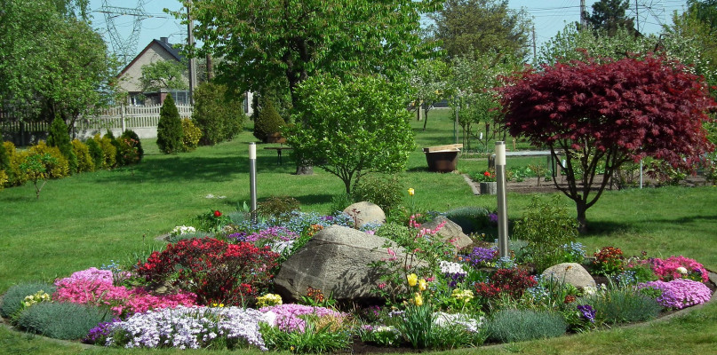 Barwna, kwitnąca rabata to atrakcyjna dekoracja ogrodu.