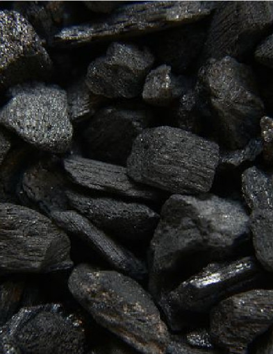 W Janikowie ruszyła sprzedaż węgla po preferencyjnej cenie 2 tysięcy złotych-3811