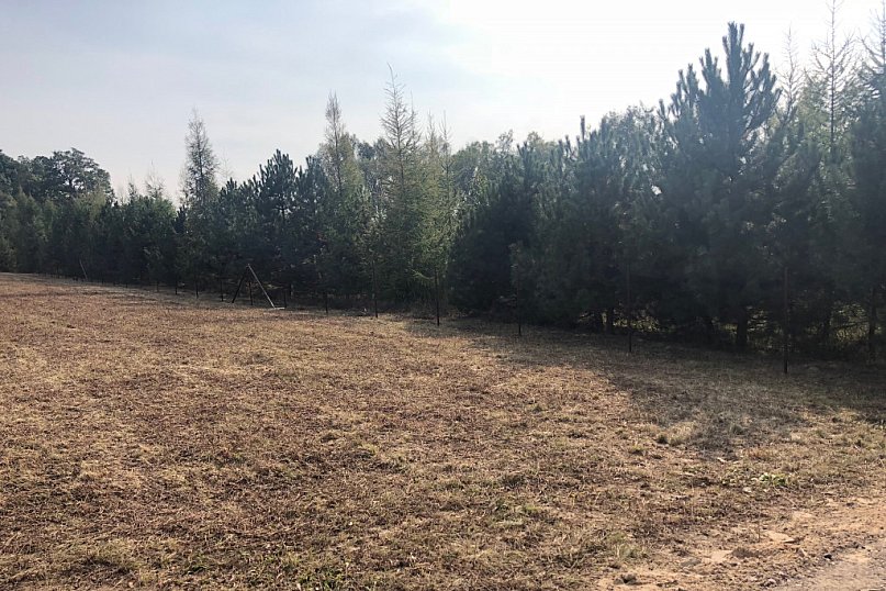 Cmentarz w Janikowie