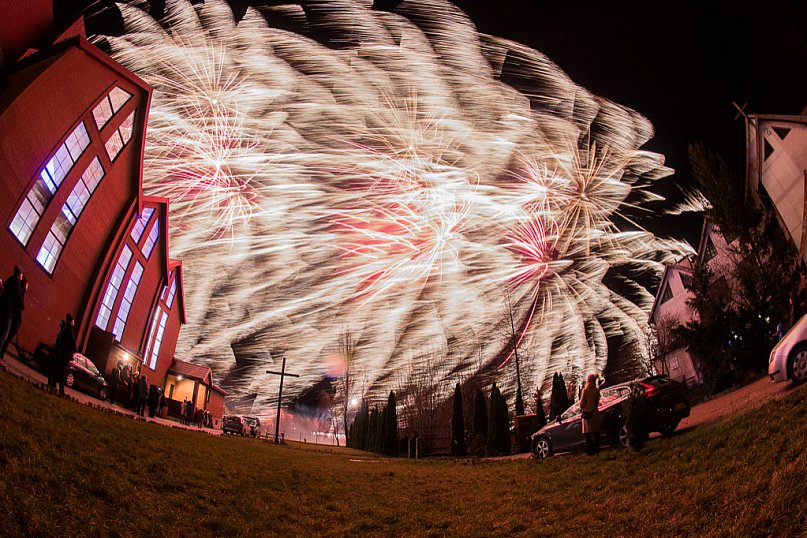 Koncert zespołu Pectus