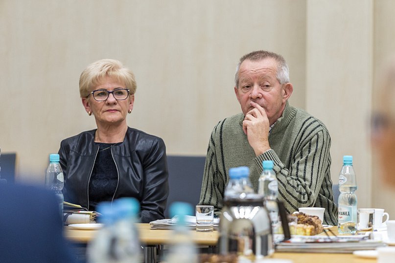 Alina Strzelczyk w Wojewódzkiej Radzie ds.Seniorów