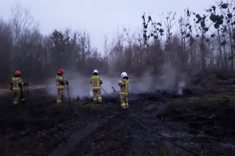 Pożar składowiska odpadów przy Głównej w Janikowie [ZDJĘCIA]