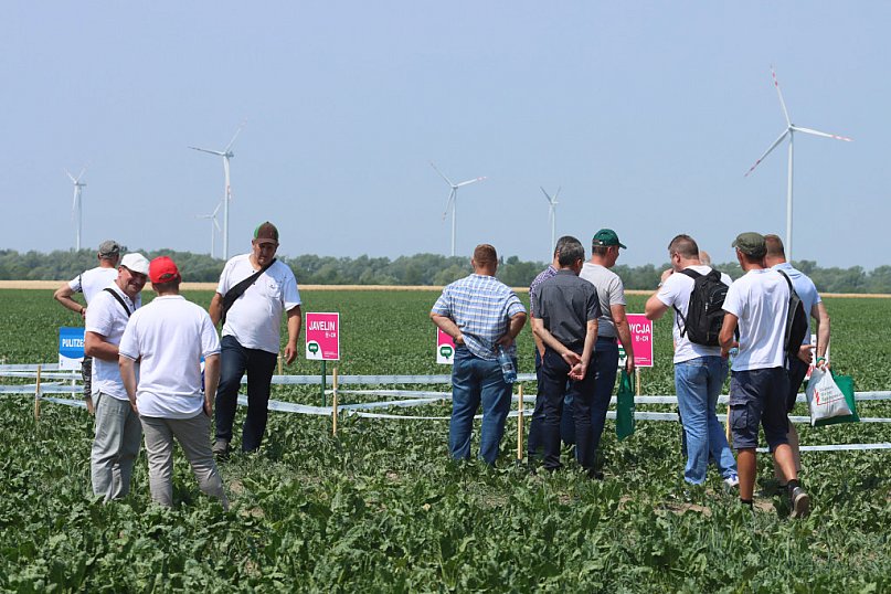 Dni Pola w Kołudzie Wielkiej