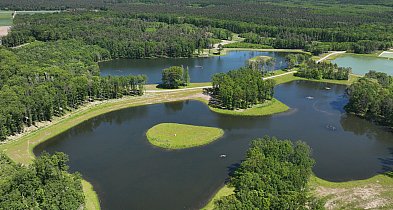 Wspólny projekt Holcim i Lasów Państwowych z prestiżową nagrodą Edie Awards 2025-10949