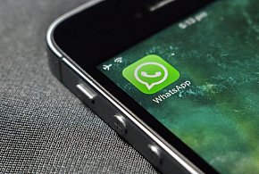 WhatsApp się zmienia. Czy aplikacja będzie płatna?-11405