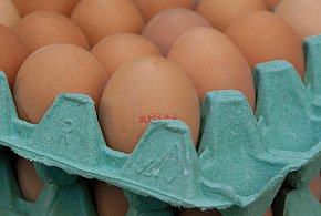 Salmonella na jajach znanej marki. Nie jedz, jeśli masz je w lodówce!-11489