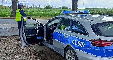 Łupem podczas włamania padło mięso i zabawka-11536
