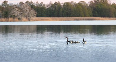 Wyprawa na Mazury – co zobaczyć z najmłodszymi?-11760