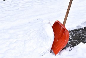 Ten obowiązek może wreszcie zniknąć. Sejm rozważa zmianę przepisów-12338