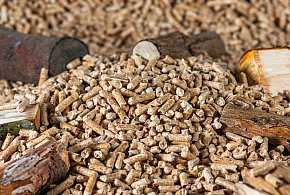 Drożeje popularny opał. Miliony Polaków dostaną po kieszeni tej zimy-12354