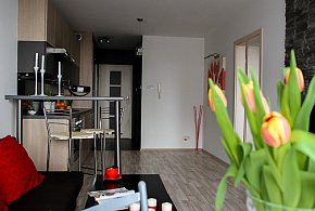 Rewolucja w wynajmie na doby. Nadchodzi koniec "wolnej amerykanki"-12626