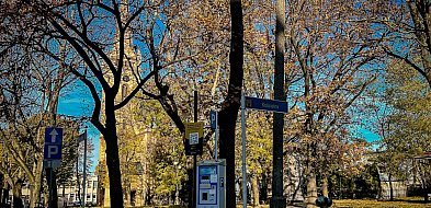 Wybierasz się autem do Inowrocławia? O tym warto wiedzieć-12421