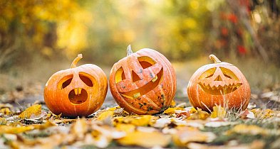 Incydent w Trlągu podczas Halloween-12383