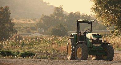 KOWR opublikował wykaz działek przeznaczonych do sprzedaży w gminie Janikowo-12735