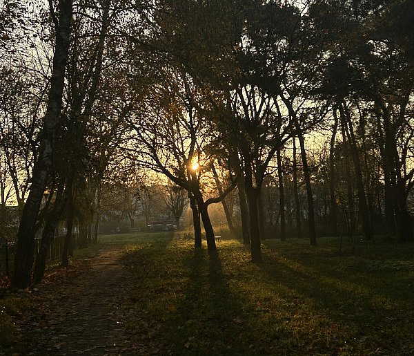 Nadchodzi najkrótszy dzień w 2025 roku. Sprawdź, kiedy przypadnie-12752