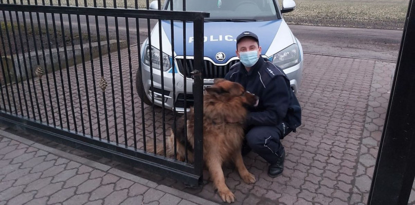 Dzielnicowy pomocny i kontaktowy [ZDJĘCIA]