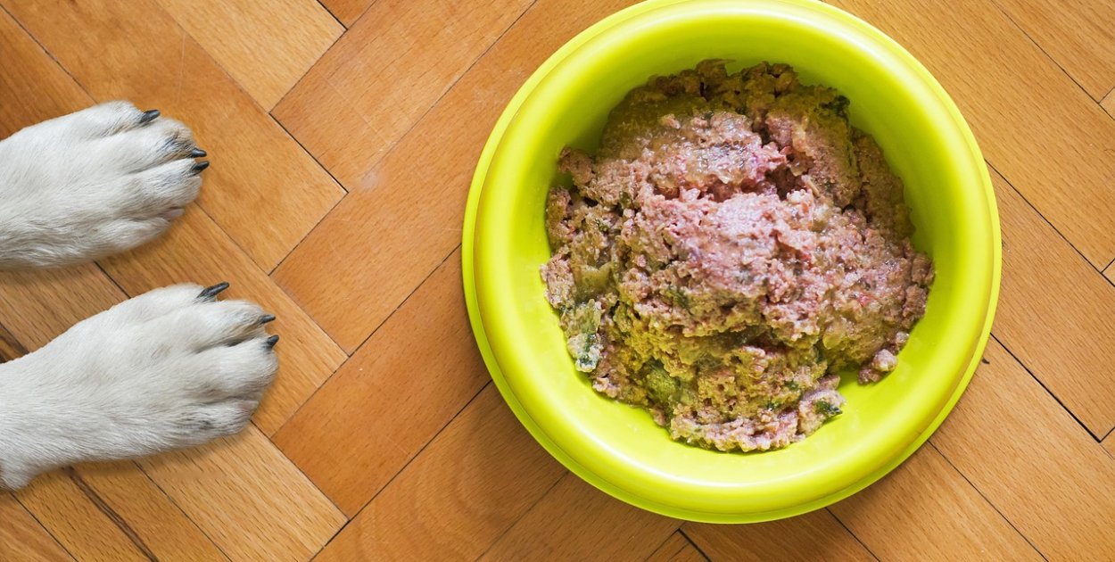 Obraz Gentle Dog Trainers z Pixabay