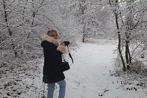 Janikowo chaszcze w zimowej scenerii